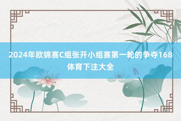 2024年欧锦赛C组张开小组赛第一轮的争夺168体育下注大全